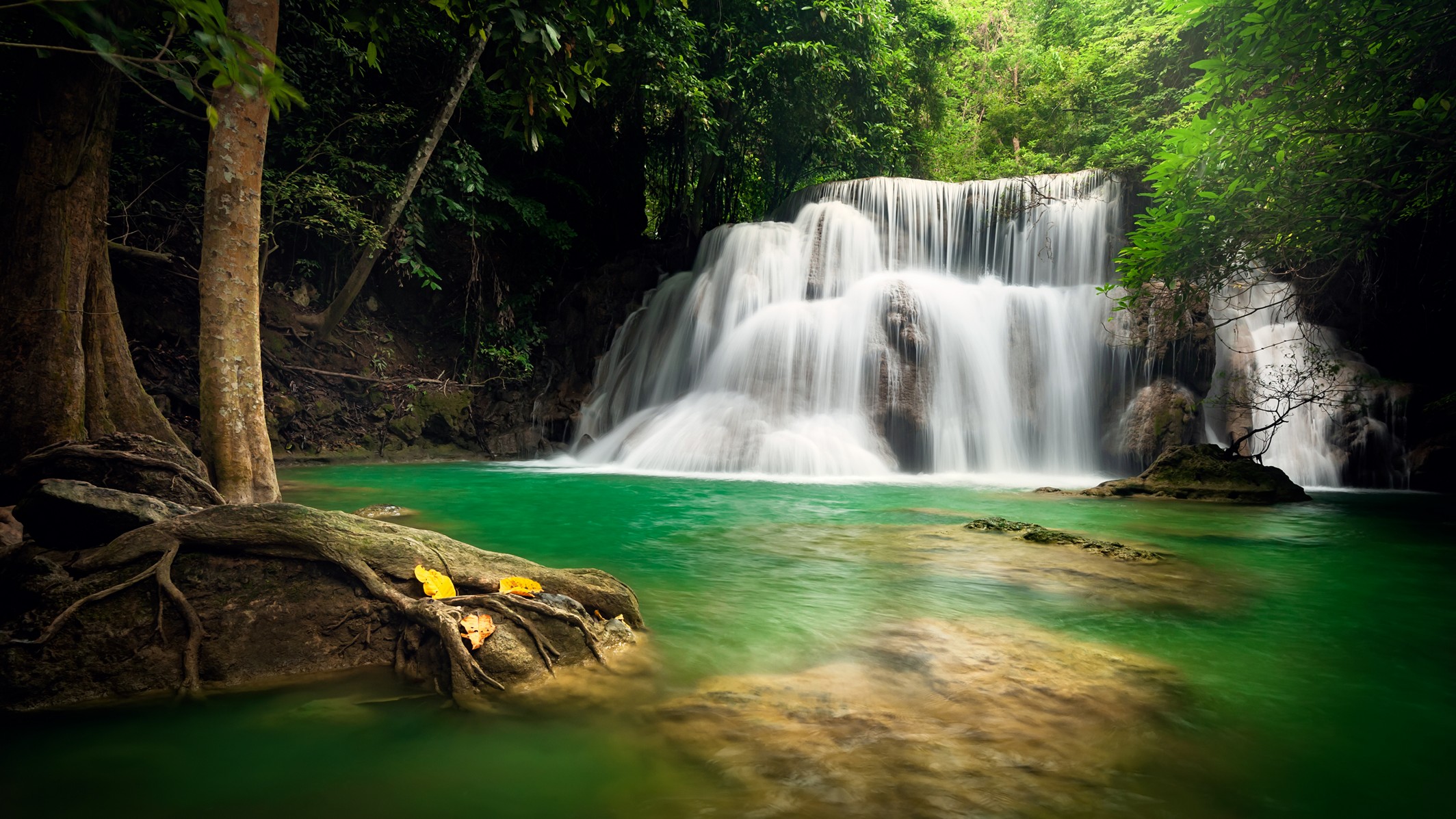 Duschrückwand Aluverbund – Tropische Wasserfall-Oase – Bild 3